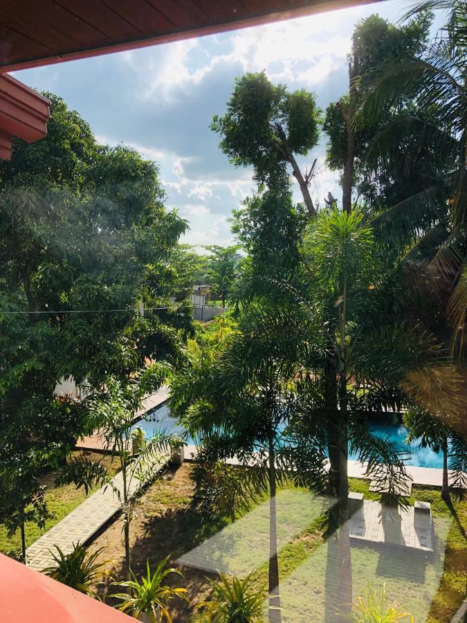 White Land City Hotel Dambulla Esterno foto